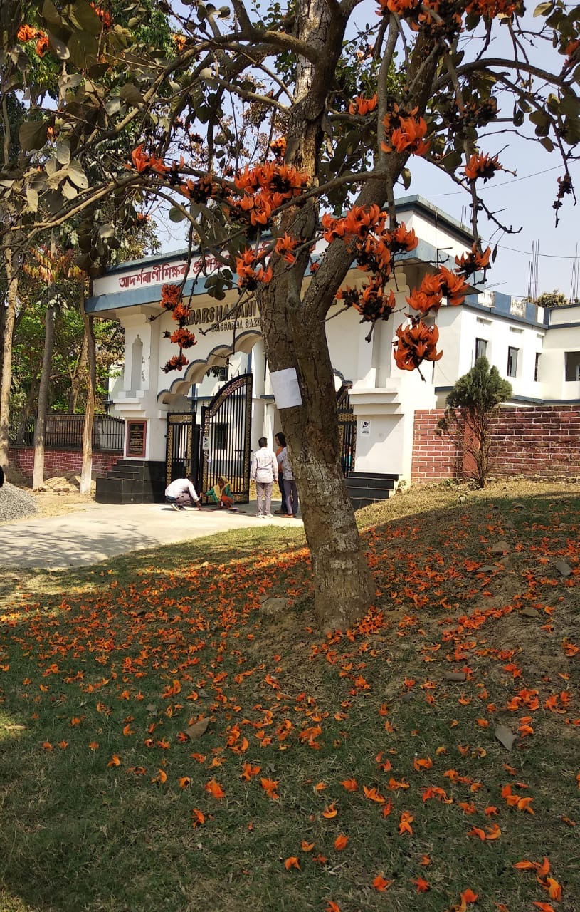 Main gate framed by a flowering palash tree